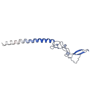 20952_6uz7_Bg_v1-2
K.lactis 80S ribosome with p/PE tRNA and eIF5B