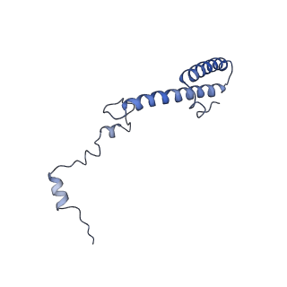 20952_6uz7_Bh_v1-1
K.lactis 80S ribosome with p/PE tRNA and eIF5B