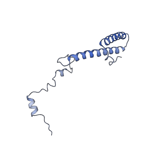 20952_6uz7_Bh_v1-2
K.lactis 80S ribosome with p/PE tRNA and eIF5B