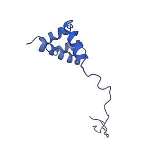 20952_6uz7_Bi_v1-1
K.lactis 80S ribosome with p/PE tRNA and eIF5B