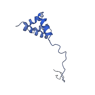 20952_6uz7_Bi_v1-2
K.lactis 80S ribosome with p/PE tRNA and eIF5B