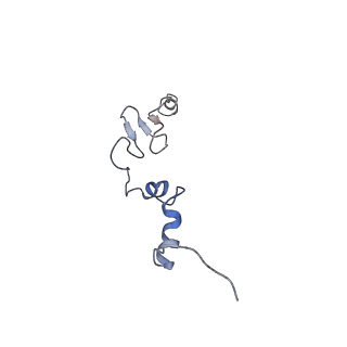 20952_6uz7_Bj_v1-1
K.lactis 80S ribosome with p/PE tRNA and eIF5B