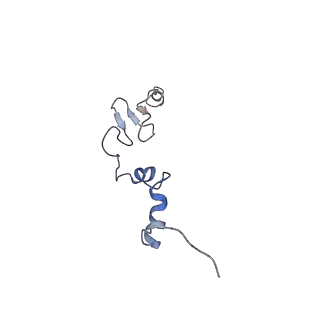20952_6uz7_Bj_v1-2
K.lactis 80S ribosome with p/PE tRNA and eIF5B