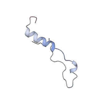 20952_6uz7_Bl_v1-1
K.lactis 80S ribosome with p/PE tRNA and eIF5B