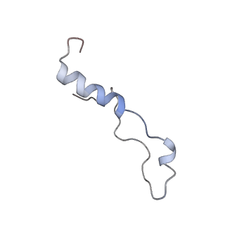 20952_6uz7_Bl_v1-2
K.lactis 80S ribosome with p/PE tRNA and eIF5B