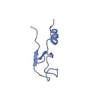 20952_6uz7_Bm_v1-1
K.lactis 80S ribosome with p/PE tRNA and eIF5B