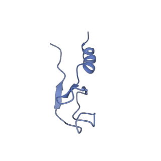 20952_6uz7_Bm_v1-2
K.lactis 80S ribosome with p/PE tRNA and eIF5B