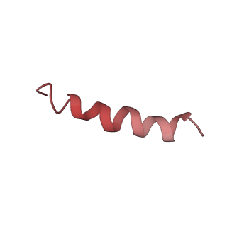 20952_6uz7_Bn_v1-1
K.lactis 80S ribosome with p/PE tRNA and eIF5B