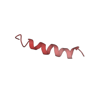 20952_6uz7_Bn_v1-2
K.lactis 80S ribosome with p/PE tRNA and eIF5B