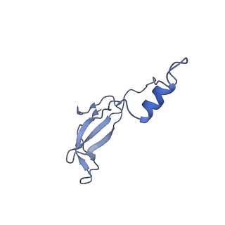 20952_6uz7_Bo_v1-2
K.lactis 80S ribosome with p/PE tRNA and eIF5B