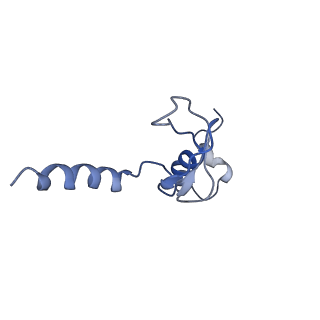 20952_6uz7_Bp_v1-1
K.lactis 80S ribosome with p/PE tRNA and eIF5B