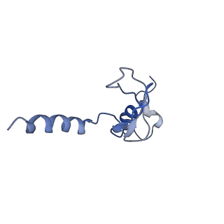 20952_6uz7_Bp_v1-2
K.lactis 80S ribosome with p/PE tRNA and eIF5B