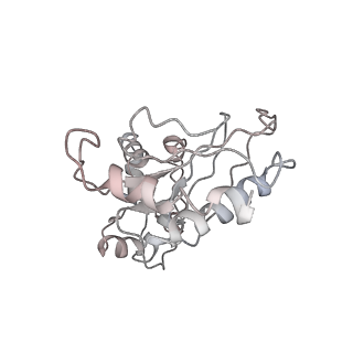 20952_6uz7_Bq_v1-1
K.lactis 80S ribosome with p/PE tRNA and eIF5B