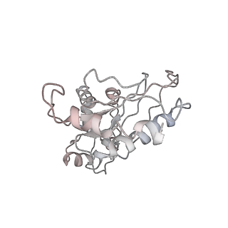 20952_6uz7_Bq_v1-2
K.lactis 80S ribosome with p/PE tRNA and eIF5B