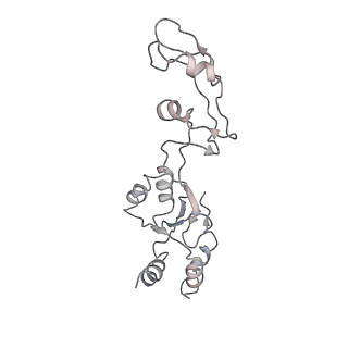 20952_6uz7_Br_v1-1
K.lactis 80S ribosome with p/PE tRNA and eIF5B