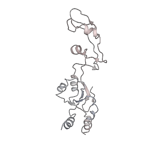 20952_6uz7_Br_v1-2
K.lactis 80S ribosome with p/PE tRNA and eIF5B