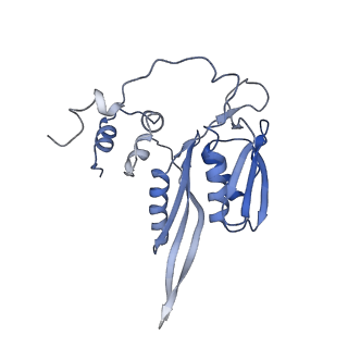 20952_6uz7_C_v1-1
K.lactis 80S ribosome with p/PE tRNA and eIF5B