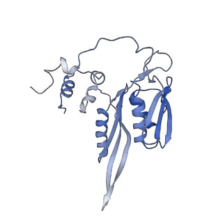 20952_6uz7_C_v1-2
K.lactis 80S ribosome with p/PE tRNA and eIF5B