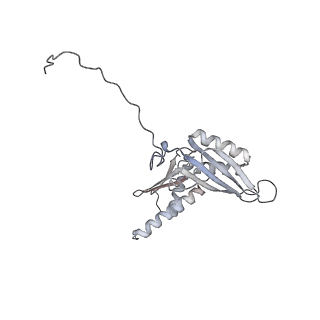 20952_6uz7_D_v1-1
K.lactis 80S ribosome with p/PE tRNA and eIF5B