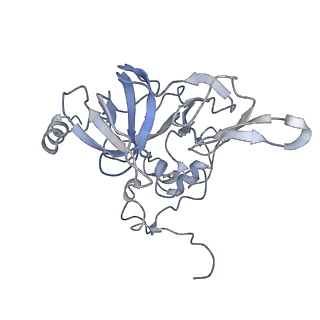 20952_6uz7_E_v1-1
K.lactis 80S ribosome with p/PE tRNA and eIF5B