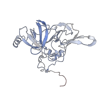 20952_6uz7_E_v1-2
K.lactis 80S ribosome with p/PE tRNA and eIF5B