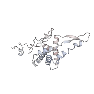 20952_6uz7_F_v1-1
K.lactis 80S ribosome with p/PE tRNA and eIF5B