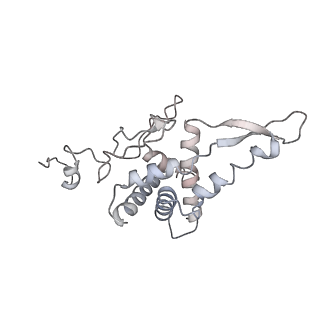 20952_6uz7_F_v1-2
K.lactis 80S ribosome with p/PE tRNA and eIF5B