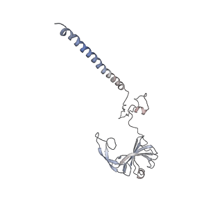 20952_6uz7_G_v1-1
K.lactis 80S ribosome with p/PE tRNA and eIF5B