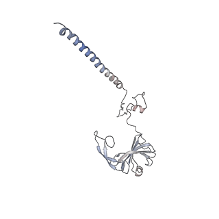 20952_6uz7_G_v1-2
K.lactis 80S ribosome with p/PE tRNA and eIF5B