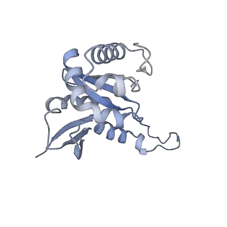 20952_6uz7_H_v1-1
K.lactis 80S ribosome with p/PE tRNA and eIF5B