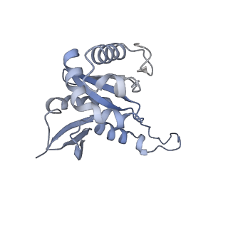 20952_6uz7_H_v1-2
K.lactis 80S ribosome with p/PE tRNA and eIF5B
