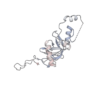 20952_6uz7_I_v1-1
K.lactis 80S ribosome with p/PE tRNA and eIF5B