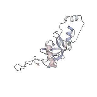 20952_6uz7_I_v1-2
K.lactis 80S ribosome with p/PE tRNA and eIF5B