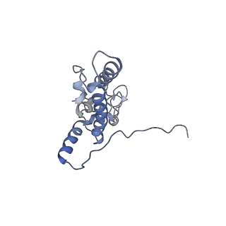 20952_6uz7_J_v1-1
K.lactis 80S ribosome with p/PE tRNA and eIF5B