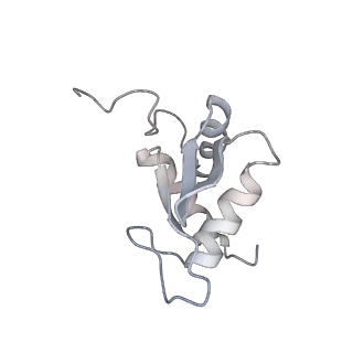 20952_6uz7_K_v1-1
K.lactis 80S ribosome with p/PE tRNA and eIF5B