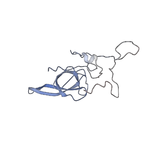 20952_6uz7_L_v1-1
K.lactis 80S ribosome with p/PE tRNA and eIF5B