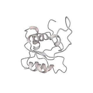20952_6uz7_M_v1-1
K.lactis 80S ribosome with p/PE tRNA and eIF5B