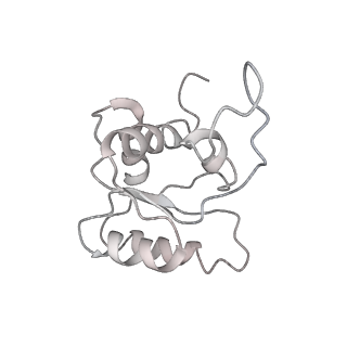 20952_6uz7_M_v1-2
K.lactis 80S ribosome with p/PE tRNA and eIF5B