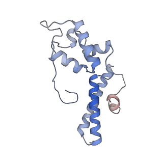 20952_6uz7_N_v1-1
K.lactis 80S ribosome with p/PE tRNA and eIF5B