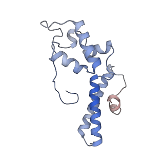 20952_6uz7_N_v1-2
K.lactis 80S ribosome with p/PE tRNA and eIF5B