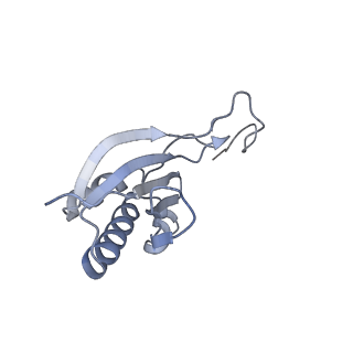 20952_6uz7_O_v1-1
K.lactis 80S ribosome with p/PE tRNA and eIF5B