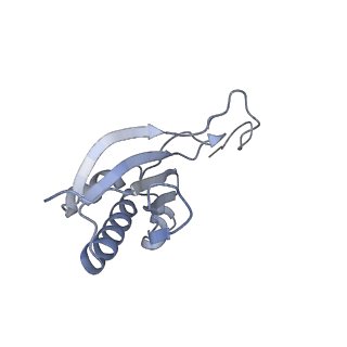 20952_6uz7_O_v1-2
K.lactis 80S ribosome with p/PE tRNA and eIF5B