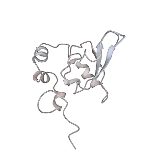 20952_6uz7_P_v1-1
K.lactis 80S ribosome with p/PE tRNA and eIF5B