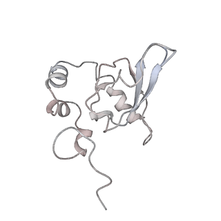 20952_6uz7_P_v1-2
K.lactis 80S ribosome with p/PE tRNA and eIF5B