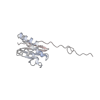20952_6uz7_Q_v1-1
K.lactis 80S ribosome with p/PE tRNA and eIF5B