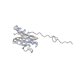 20952_6uz7_Q_v1-2
K.lactis 80S ribosome with p/PE tRNA and eIF5B