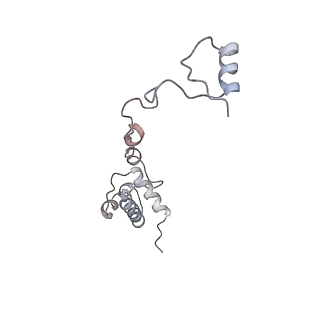 20952_6uz7_R_v1-1
K.lactis 80S ribosome with p/PE tRNA and eIF5B