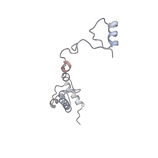 20952_6uz7_R_v1-2
K.lactis 80S ribosome with p/PE tRNA and eIF5B