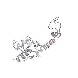 20952_6uz7_S_v1-1
K.lactis 80S ribosome with p/PE tRNA and eIF5B