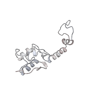 20952_6uz7_S_v1-2
K.lactis 80S ribosome with p/PE tRNA and eIF5B